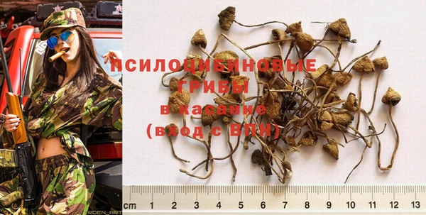 дурь Абинск