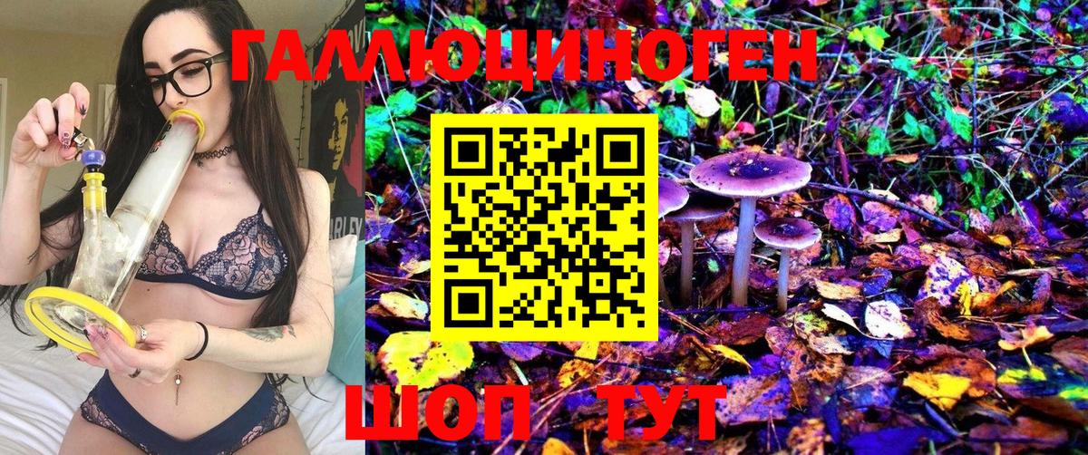 Псилоцибиновые грибы MAGIC MUSHROOMS Донецк