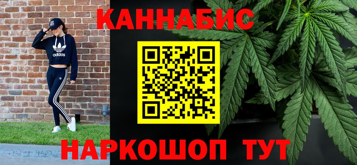 Каннабис планчик Донецк